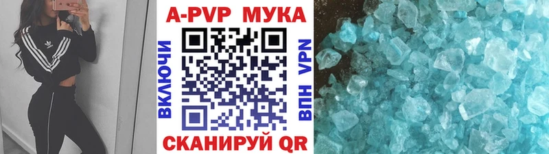 дарнет шоп Островной Alpha PVP крисы CK