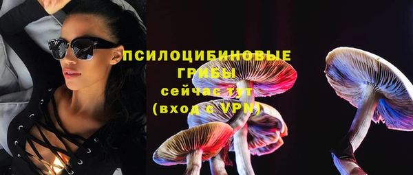 эйфоретик Алексеевка