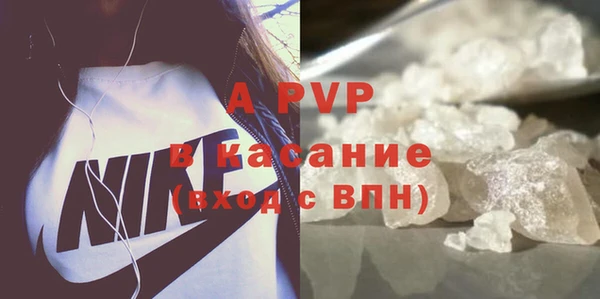 СК Алексин