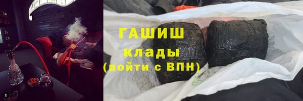 СК Алексин