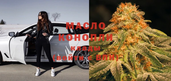 СК Алексин