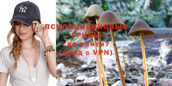 эйфоретик Алексеевка