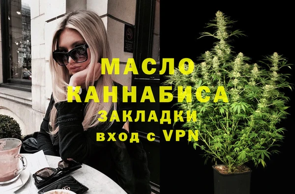 СК Алексин